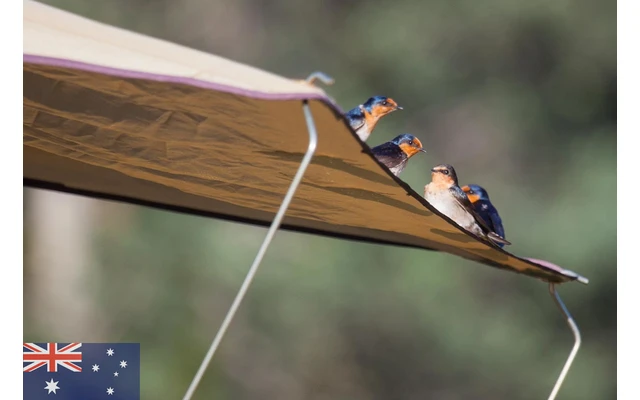 Gordigear Dachzelt Plus Für 4 Personen Mit Staufläche 180 X 320 Cm Grün 3 Gordigear Dachzelt Plus Für 4 Personen Mit Staufläche 180 X 320 Cm Grün – Bild 2