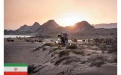 Gordigear Dachzelt Plus Für 4 Personen Mit Staufläche 180 X 320 Cm Grün 12 Gordigear Dachzelt Plus Für 4 Personen Mit Staufläche 180 X 320 Cm Grün -Fiamma Verkäufe 585635 3986339